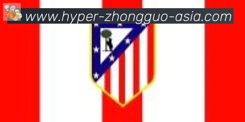 中国体彩网合作伙伴